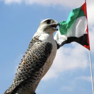 ذياب الكعبي 