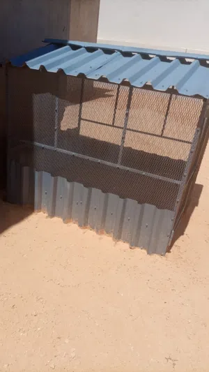 براكه كلب للبيع