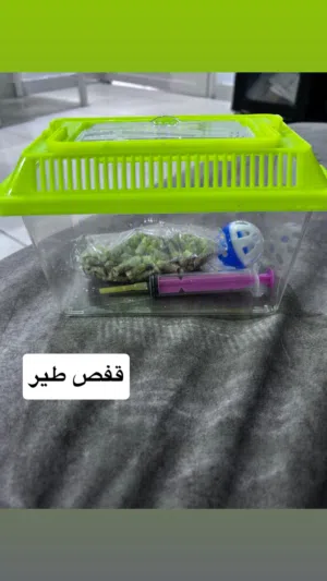 السلام عليكم قفص مال فروخ طير اللوف بيرد او الروز القفص مستعمل للتجربة فقط و شرق النظافة و حيل حلووو