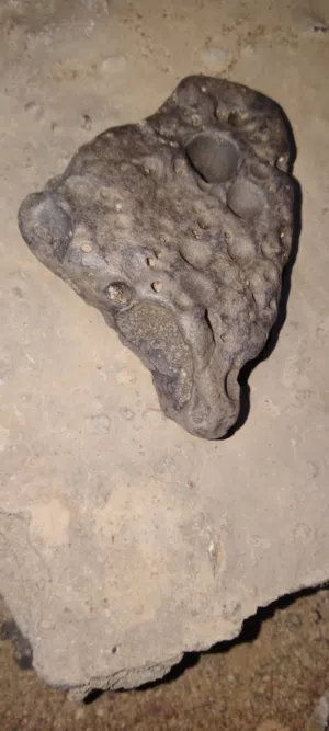 احجار نيازك