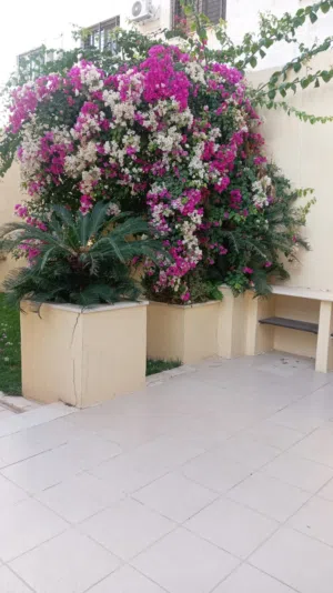 شقه فارغه للايجار - دير غبار -شبه ارضيه - مميزه جدا