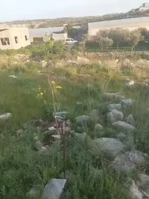 ارض تصلح للبناء السكني