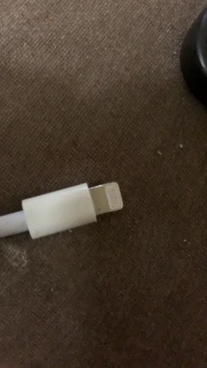 شاحن iPhone أصلي