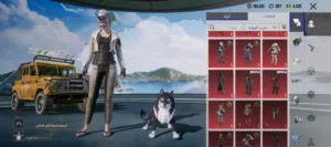 سلام عليكم حساب ببجي مليان نوادر مستوى 83