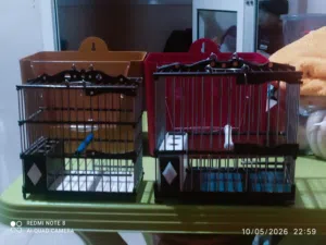 قفز مالكا باقين جداد ثمن مناسب