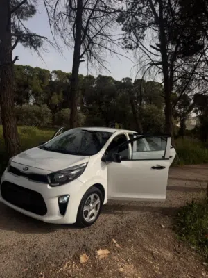 Used Kia Picanto in Amman