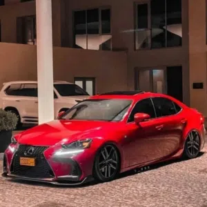 المعمري 