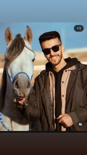 Obaidahassan 