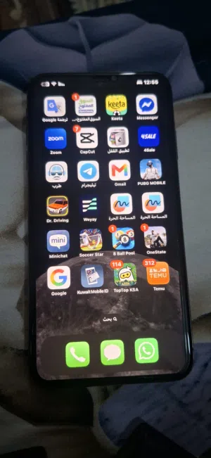 Apple iPhone XS Max 256 GB in Al Jahra