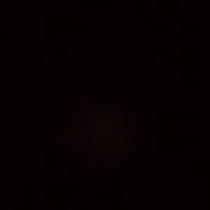 شهم الخلايلة 