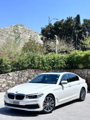 BMW 2029 530i
