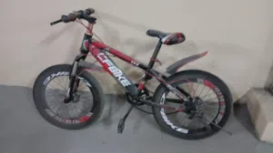 bycicle for kids in sharjah for sale not broke on any problem