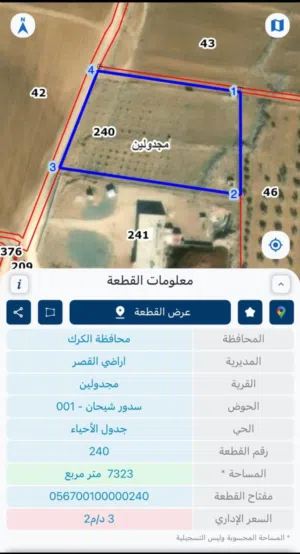 مزرعة زيتون للبيع بالكرك - القصر
