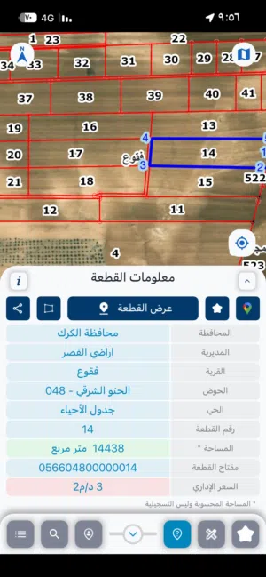 لقطه لقطه لقطه اراضي الكرك منطقة فقوع اراضي القصر 28 دونم للاستثمار كل 14  دونم مفروزات لحال قوشان