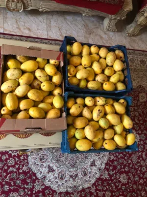 امبا عماني الكرتون بخمسه ريال توصيل ولاية السيب