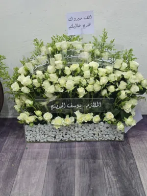 مجدي 