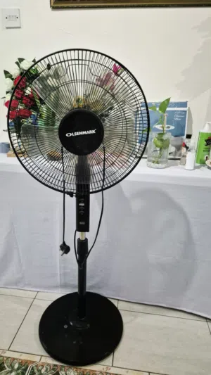 Electric Fan Stand Fan