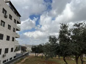 Residential Land for Sale in Amman Shafa Badran