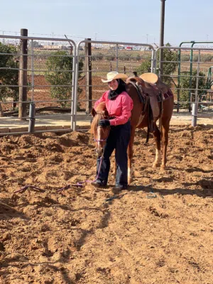 صبره لتدريب وترويض الخيول Sabra Performance Horse Training