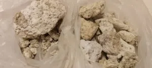 عنبر الحوت