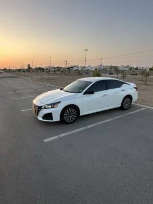 التيما SV 2025
