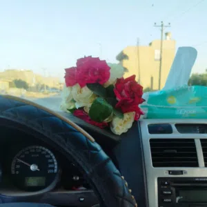 محمود محمود الرياني 