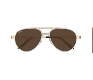 Cartier Santos Sunglasses
