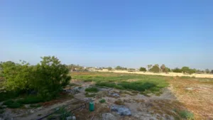 Farm Land for Rent in Al Batinah Barka