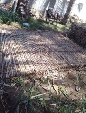 دعون للبيع 8×8