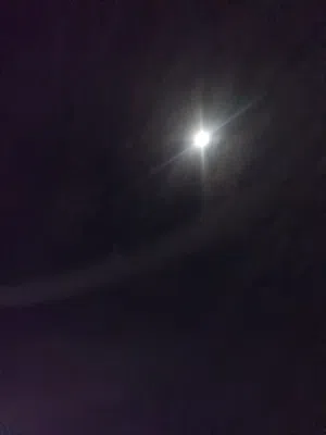 مطلوب منزل قديم بسعر رخيص