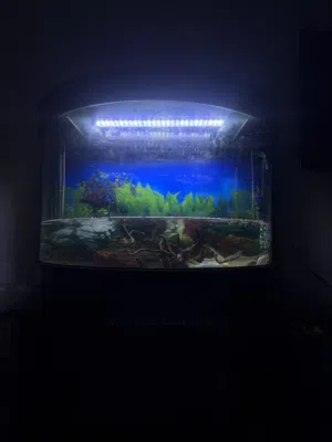 حوض سمك للبيع  Aquarium for sale