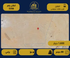 رقم الإعلان: (5356 ) قطعة أرض استثمارية للبيع في الظليل – قرب مثلث عرنوس
