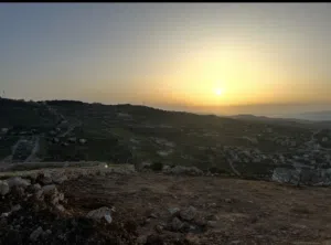 Farm Land for Sale in Zarqa Al-Kamsha