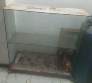 ريون زجاج سكريت
