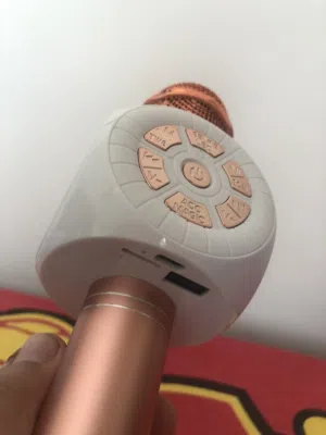 Voice changer microphone