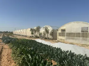 Farm Land for Sale in Abu Dhabi Al Bahia