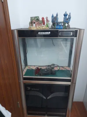 حوض سمك منزيلي