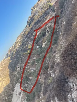 ارض مطلة عالية من اراضي تفوح على الخد مع دورا في منطقة الرقادي مزروعة زيتون دفعة بسيطة وتقسيط طويل