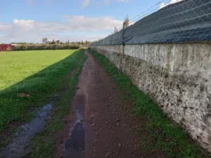 Mixed Use . 5900 m2 . Agent0