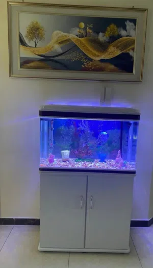 Aquarium with full accessories