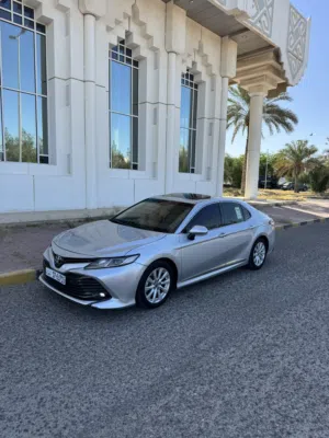 قمة بالنظافة