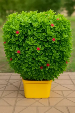 145 m2 3 Bedrooms Apartments for Sale in Ramallah and Al-Bireh Beitunia