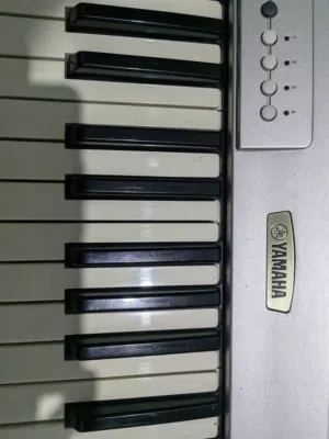 يا ماها PSR 300