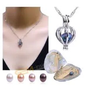 سنسال محارة البحر لاخراج حبة اللولو من داخل علبه بقلب المحاره و تركيبها على السنسال لاحلى هديه