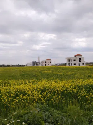 أرض للبيع خلف جامعة الشرق الاوسط منطقة فلل Modern