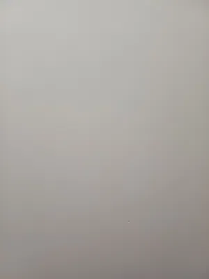 Full Hall Available for Rent for executive bachelor