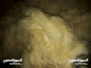 ‏منسوجات ‏.‏ جديد‏1