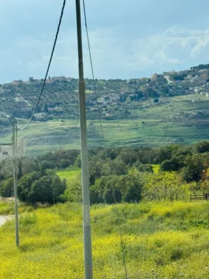 Farm Land for Sale in Amman Naour