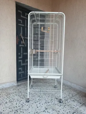 ‏إكسسوارات ‏.‏ طيور ودواجن ‏.‏ مستعمل‏2