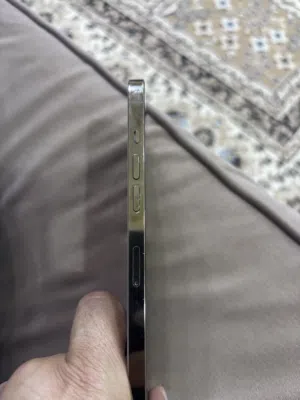 ايفون 12 بروماكسً